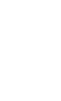 Inter Consulting Group